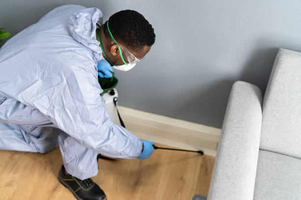 Pest Control for Hotels in Melvindale, MI